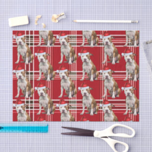 Papier Mousseline Fêtes Stafforshire Chien Rouge Plaid Noël