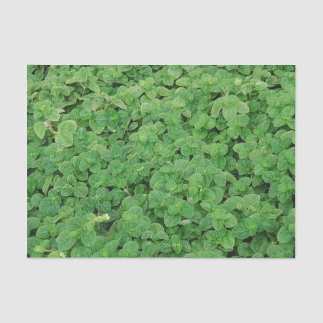 Papier Mousseline Feuillage de menthe (Recto)
