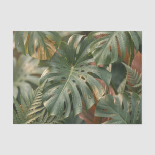 Papier Mousseline Feuillage tropical luxuriant Monstera fougères Jun
