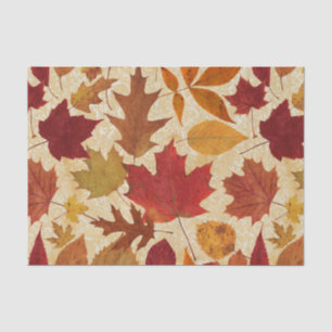 Papier Mousseline Feuille d'automne sur le beige