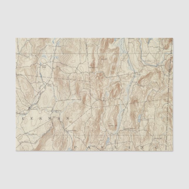 Papier Mousseline Feuille de 15 clous de girofle (Recto)