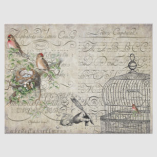Papier Mousseline Feuille de Decoupage d'éphémères d'oiseau