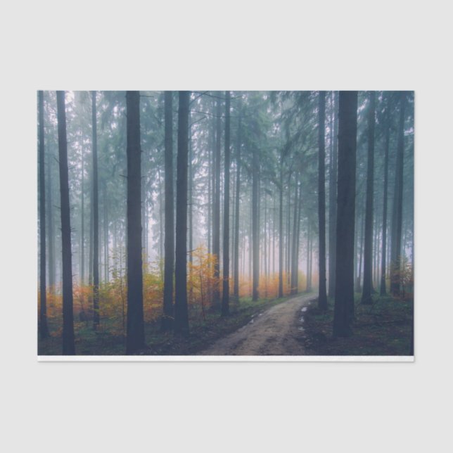 Papier Mousseline Feuille de papier de découpage 21 de la trajectoir (Recto)