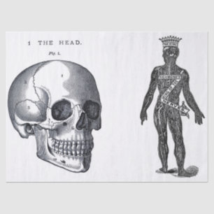 Papier Mousseline Feuille d'éléments d'anatomie de journal d'ordure