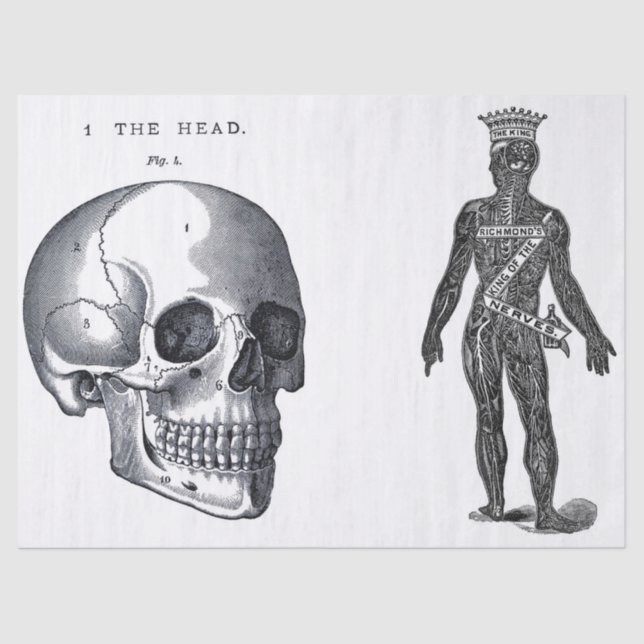 Papier Mousseline Feuille d'éléments d'anatomie de journal d'ordure (Recto)