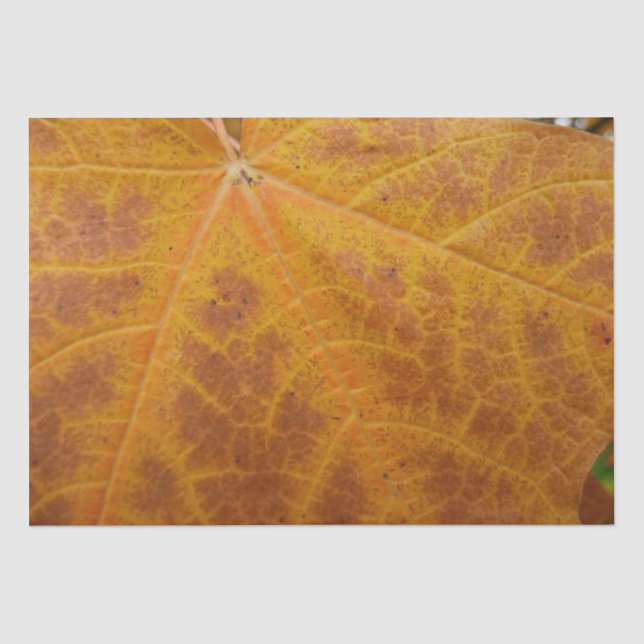 Papier Mousseline Feuille d'érable jaune Automne Abstraite Nature (Recto)