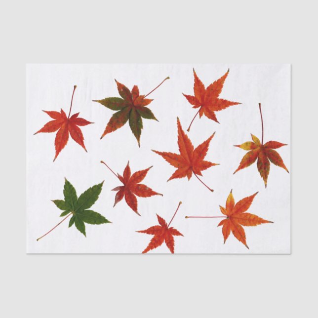 Papier Mousseline Feuille japonais (Recto)