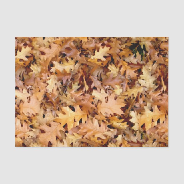 PAPIER MOUSSELINE FEUILLES D'AUTOMNE (Recto)
