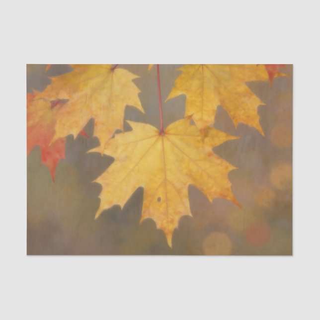 Papier Mousseline Feuilles de érable d'automne doré (Recto)