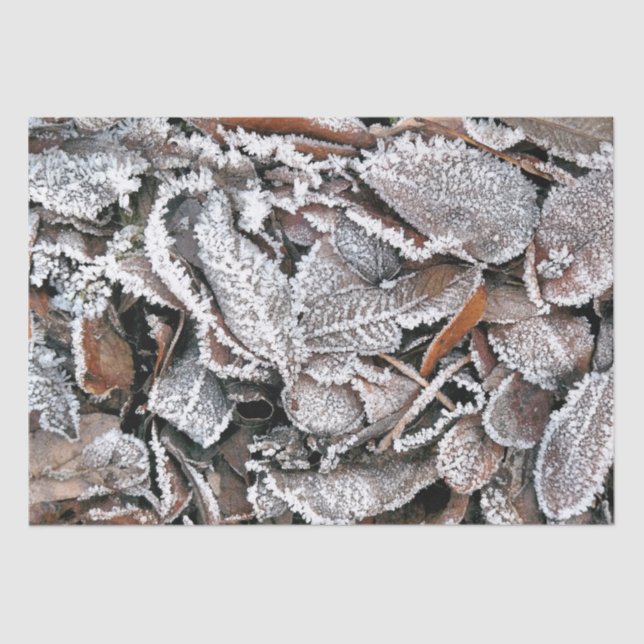 PAPIER MOUSSELINE FEUILLES HIVER (Recto)