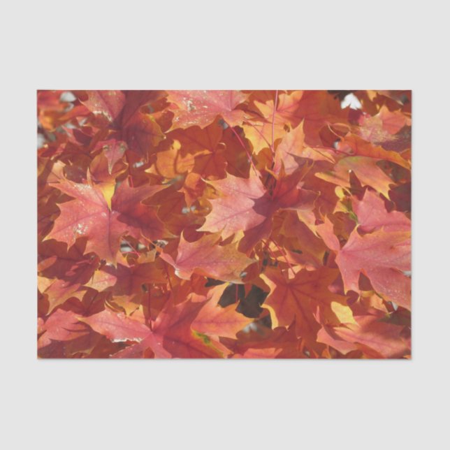 Papier Mousseline Feuilles Red Maple (Recto)