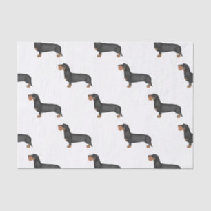 Papier Mousseline Fil mignon Haired Dachshund Chien de saucisse