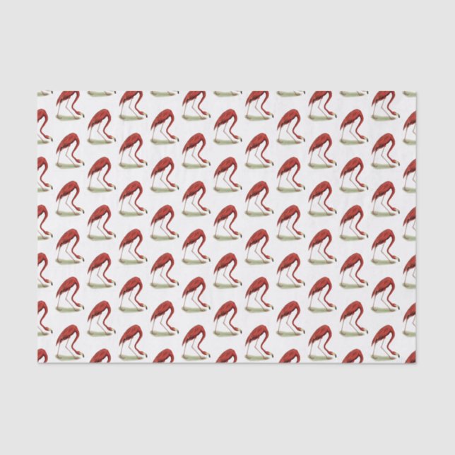 Papier Mousseline Flamant Rose Vintage #1 (Recto)