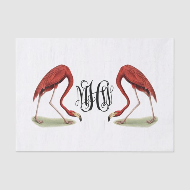 Papier Mousseline Flamants roses Vin noir Script Monogramme do-it-yo (Recto)