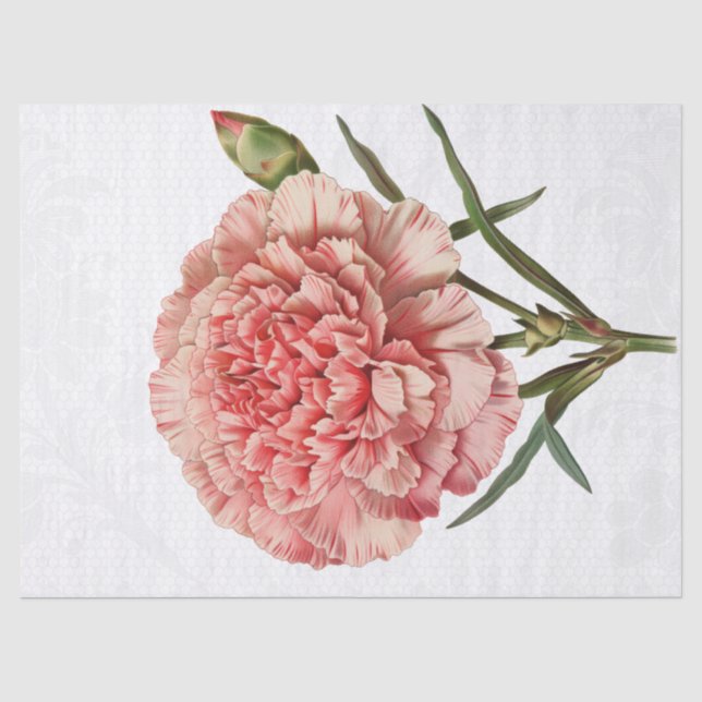 Papier Mousseline Fleur Carnation Vintage rétro (Recto)