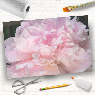 Papier Mousseline Fleur de pivoine rose