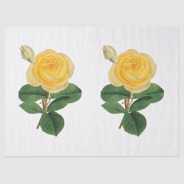 Papier Mousseline Fleur de rose jaune vintage (Recto)