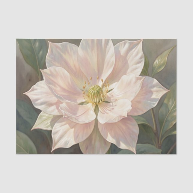 Papier Mousseline Fleur d'Hellebore Rose Pâle Éthérée (Recto)