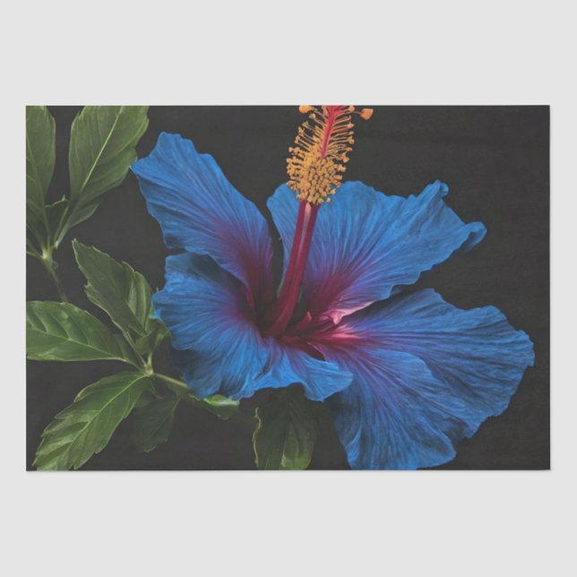 Papier Mousseline Fleur d'Hibiscus Bleu Florant, (Recto)