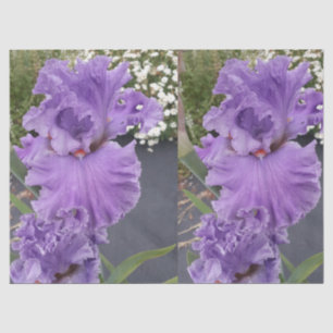 Papier Mousseline Fleur d'Iris Fleurs Violet Lavande Lilas Floral