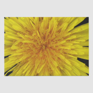 Papier Mousseline Fleur jaune de pissenlit d'été sur toute couleur