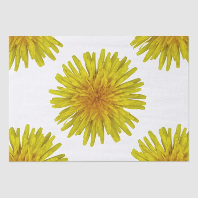 Papier Mousseline Fleur jaune de pissenlit d'été sur toute couleur (Recto)