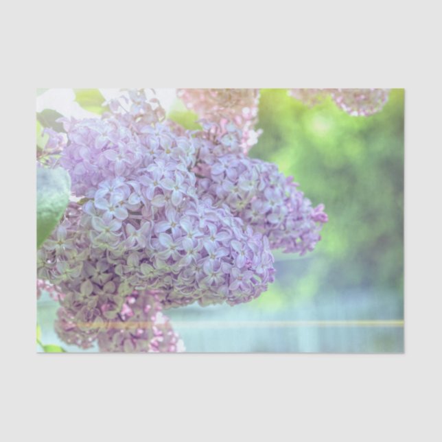 Papier Mousseline Fleur Lilac violet belle campagne Matin soleil (Recto)