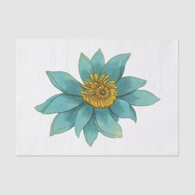 Papier Mousseline Fleur Lotus vintage #1 (Recto)