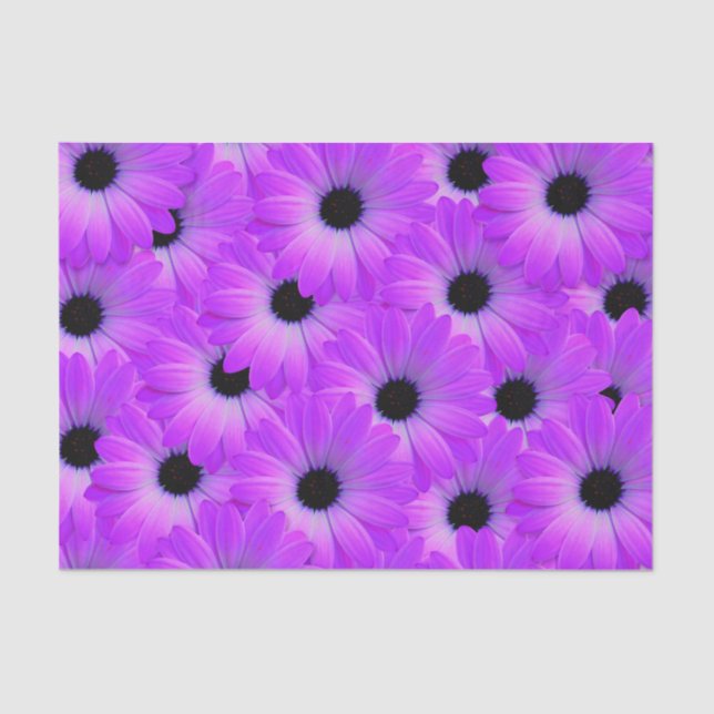 Papier Mousseline Fleur marguerite violette fleurie mignonne été (Recto)
