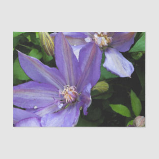 Papier Mousseline Fleur pourpre Decoupage de gloire de matin