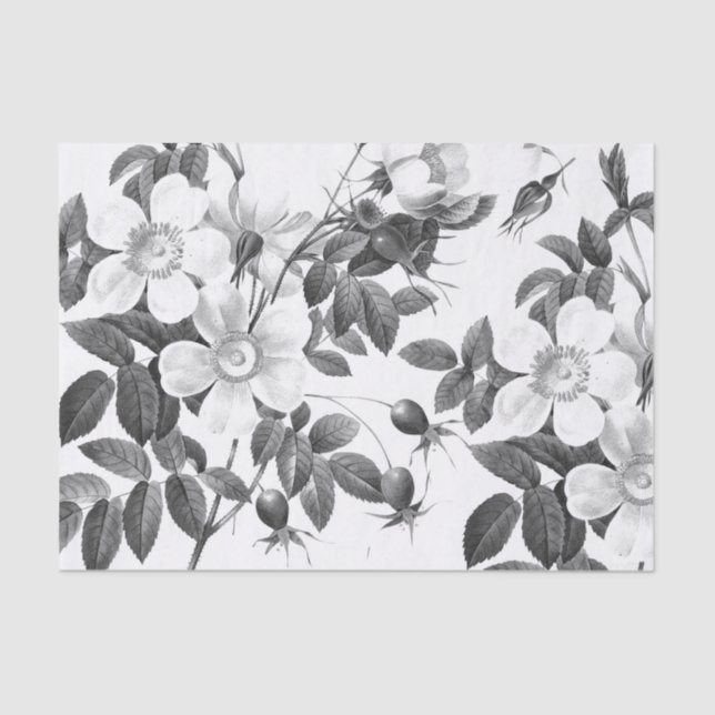Papier Mousseline Fleur Rose sauvage noire et blanche (Recto)