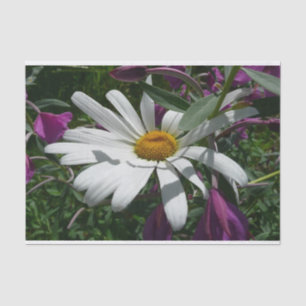 Papier Mousseline Fleur sauvage Daisy et Fireweed