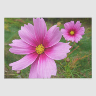 Papier Mousseline Fleur sauvage de fleurs Cosmos roses