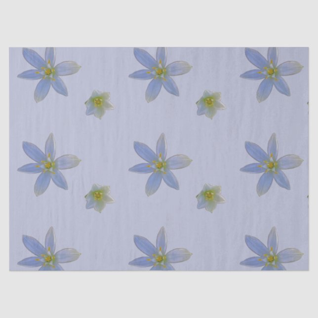 Papier Mousseline fleurir en blanc (Recto)