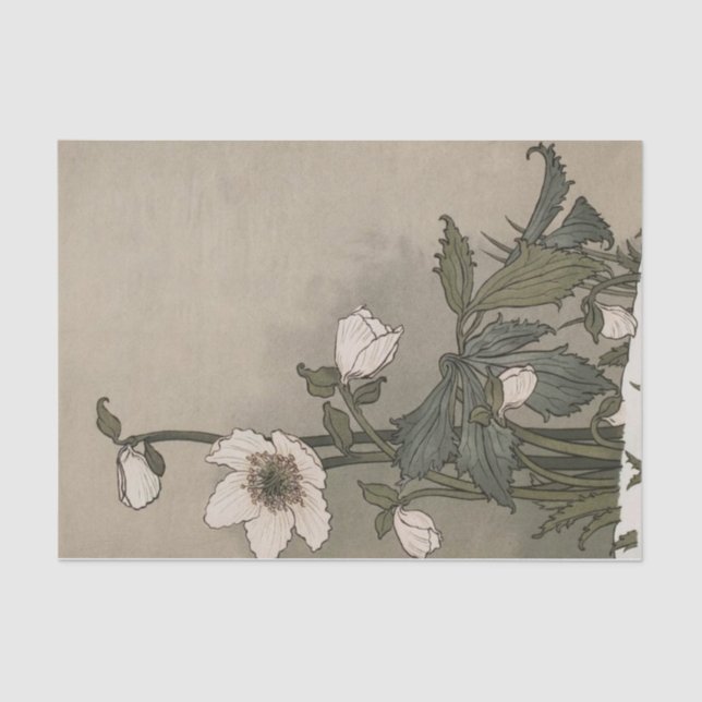 Papier Mousseline Fleurs blanches par Eugene Grasset (Recto)