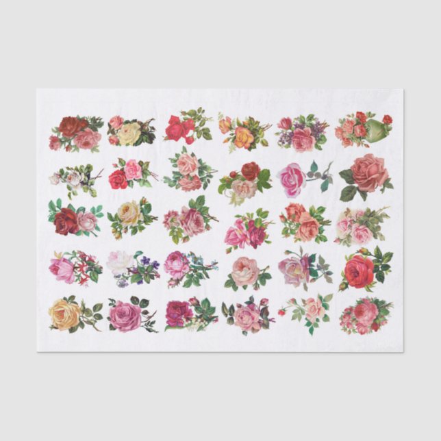 Papier Mousseline Fleurs botaniques Vintages authentiques (pas AI) (Recto)