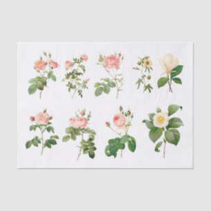 Papier Mousseline Fleurs botaniques Vintages authentiques (pas AI)