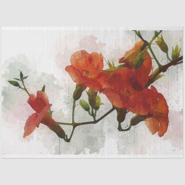 Papier Mousseline Fleurs d'aquarelle rouge 20x30 (Recto)