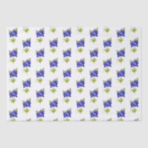 Fleurs de bleuets texans,