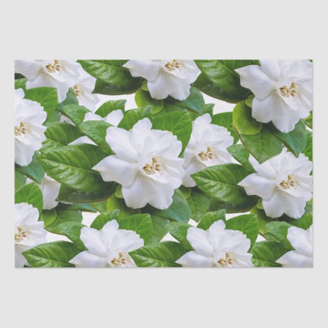 Papier Mousseline Fleurs de gardenia blanches et vert   (Recto)