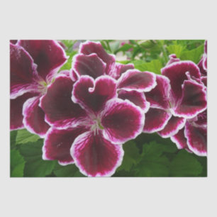 Papier Mousseline Fleurs de géranium élégantes de couleur marron élé
