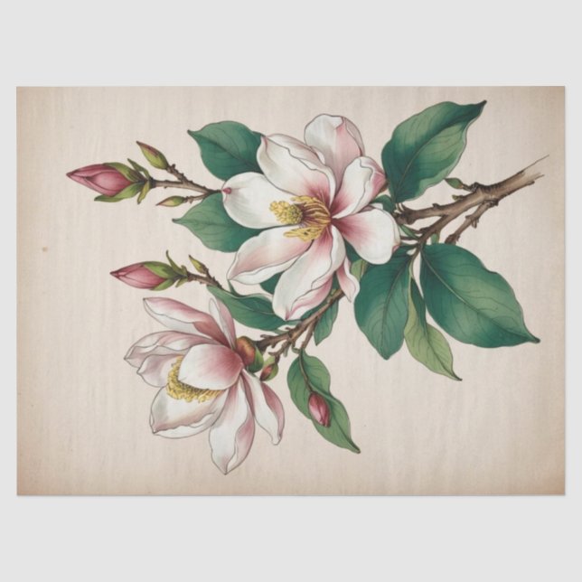 Papier Mousseline Fleurs de Magnolia (Recto)