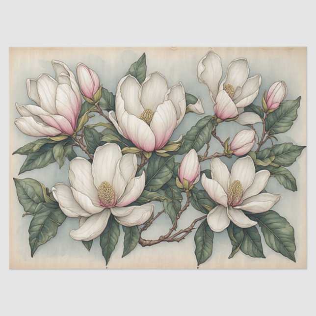 Papier Mousseline Fleurs de Magnolia (Recto)
