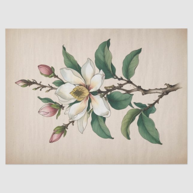 Papier Mousseline Fleurs de Magnolia (Recto)