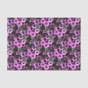 Papier Mousseline Fleurs de marguerite africaine violet Motif de la 