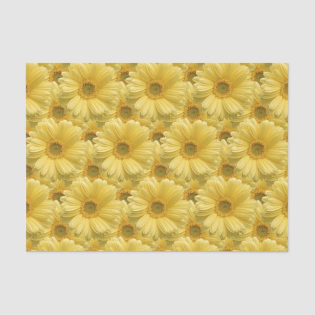 Papier Mousseline Fleurs de marguerites jaunes Papier Tissu (Recto)