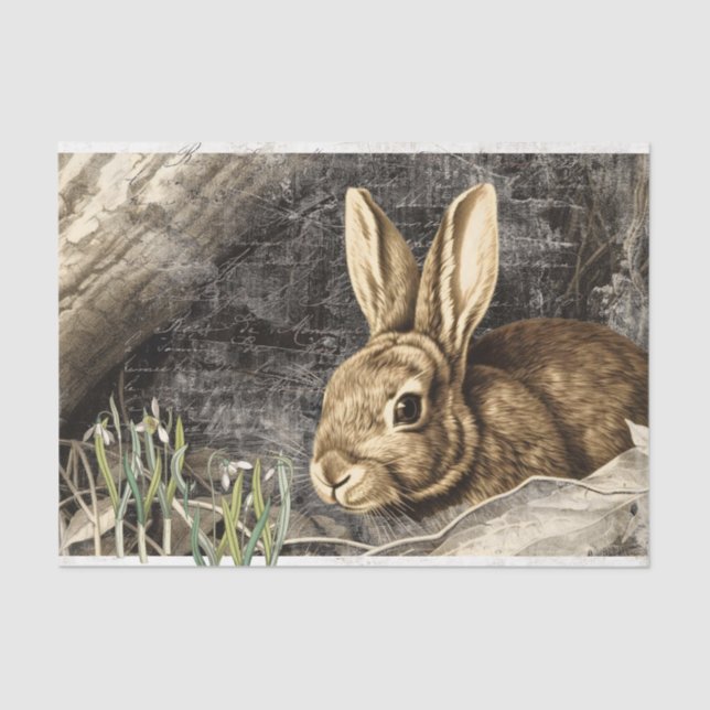 Papier Mousseline Fleurs de neige de lapin Printemps Artisanat franç (Recto)