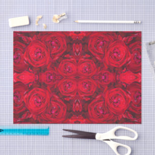 Papier Mousseline Fleurs de rose rouge avec gouttes de rosée - photo