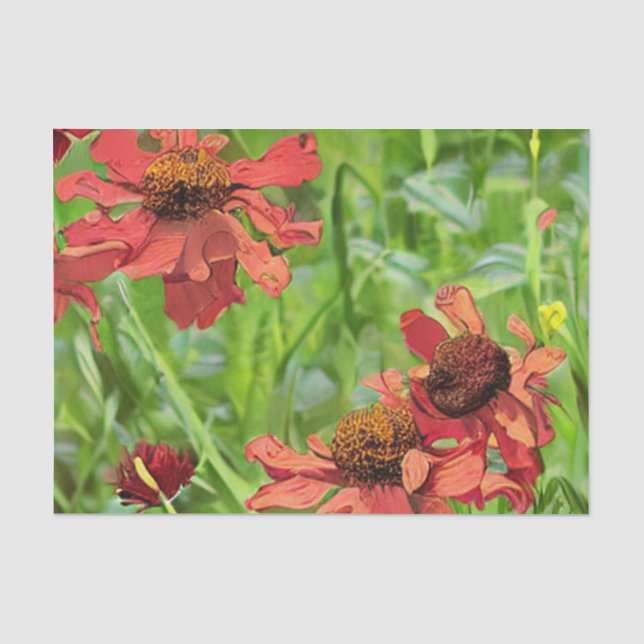 PAPIER MOUSSELINE FLEURS DE RUDBECKIA ROUGES (Recto)