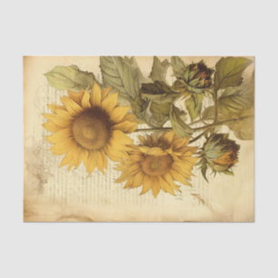 Papier Mousseline Fleurs de soleil brillantes sur Script Vintage